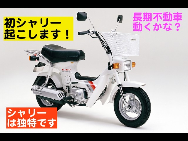 スズキ蘭行き先決まりました。 新企画！スズキ蘭伝説やります - YouTube