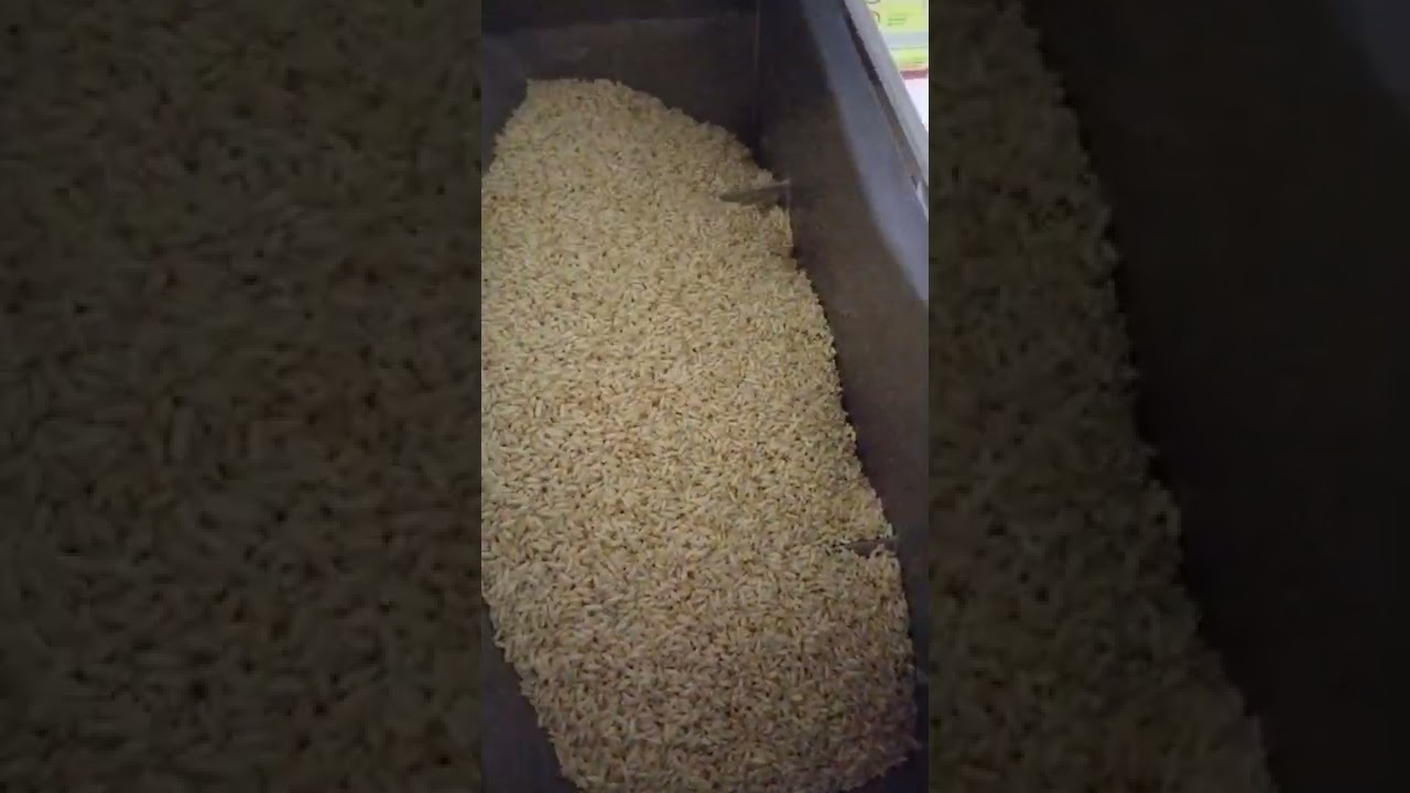 Automatic muri packing machine