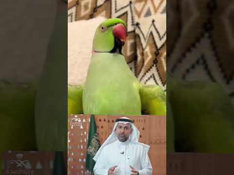كل ما هوا يفيدك ويكتر من معلوماتك هتلقي في القناه تبعني عيزين نوصل القناه   اشتركو 
