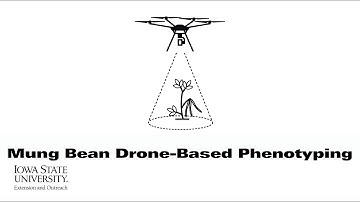 Soynomics: Mung Bean Drone-Based Phenotyping | (When Scientists Team with Engineers)
