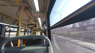 TTC BUS 15