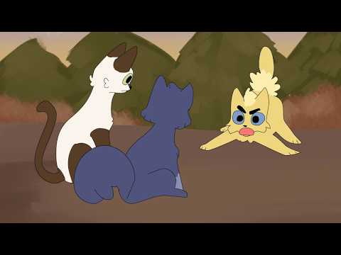 Click to Play Video