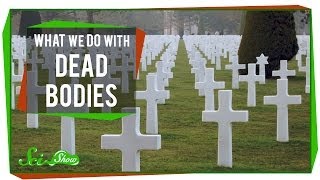 What We Do With Dead Bodies