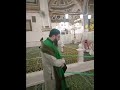 صلى الله عليه وسلم واقف في روضته بصلي عطر حبيبي بيوصلي حبيبي يارسول الله مدينة المنورة 
