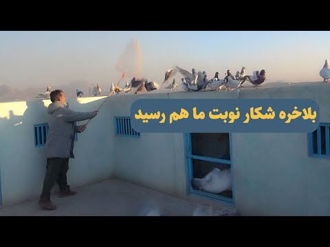 0430بلاخره شکار نوبت ما هم رسید  