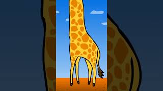 Ką Sako Žirafa? Mmstudio Animacija