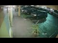 Savannah-Chatham police seek to identify burglary suspects