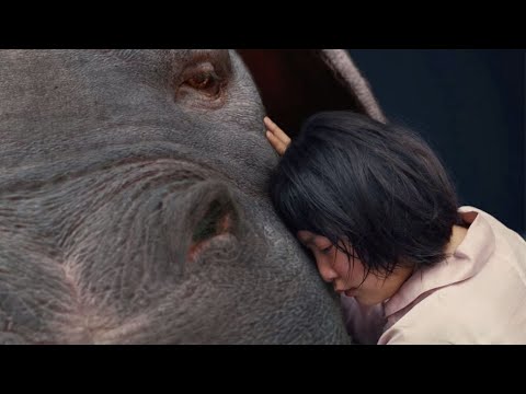 بنت بتخاطر بحياتها علشان تحمي خنزير ضخم صديقها من منظمة خطيرة جدا