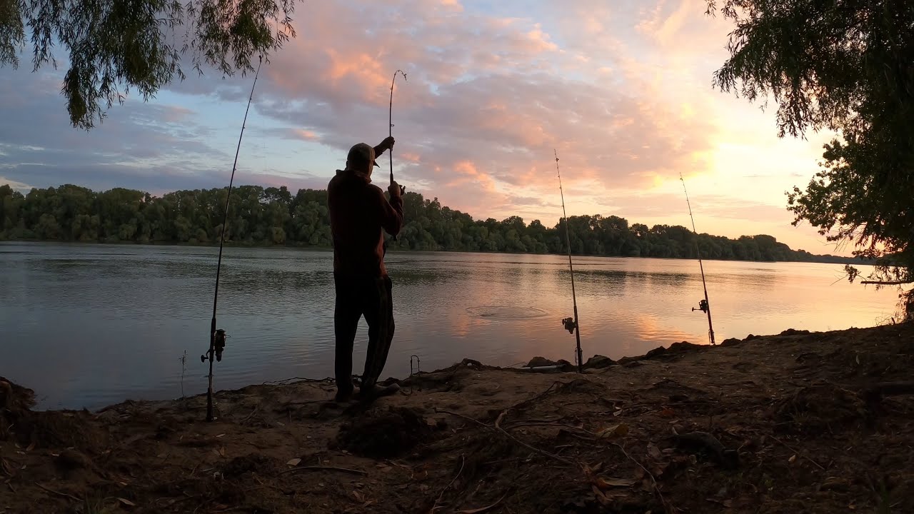Am pescuit și am gătit plachie pe Chilia-Tatanir 🐟🎣🎥