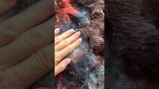 Meet Red Creek Jasper ๐ชจ๐ฅ Hand Tie-Dyed Luxury Faux Fur. ๐ soft. NEW! Meet Red Creek Jasper ๐ชจ๐ฅ Hand Tie-Dyed Luxury Faux Fur. ๐ soft. NEW!