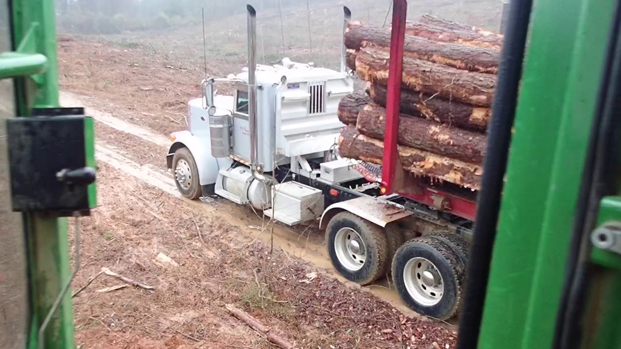 Loading 22 Peterbilt log trucks in the rain