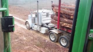 Loading 22 Peterbilt log trucks in the rain