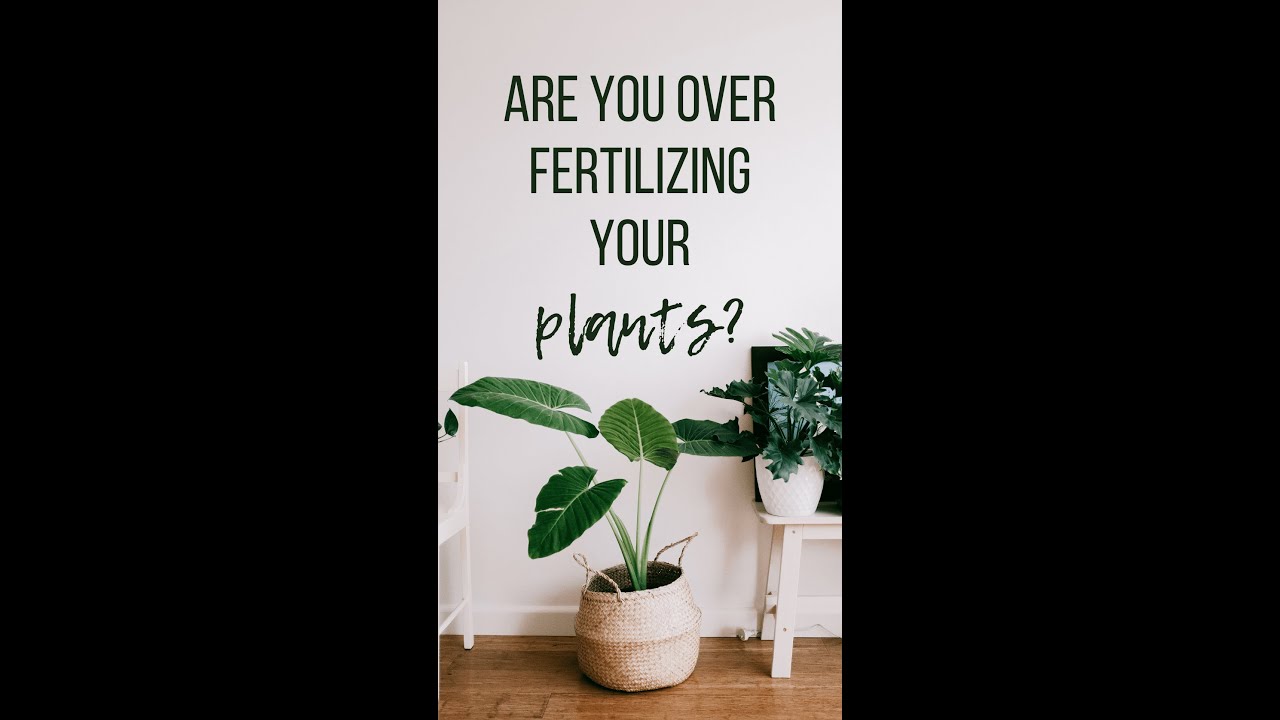 Are you over-fertilizing your plants?
