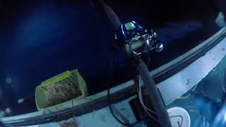 Hong Kong Offshore Fishing  - (6/10)