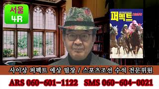 [경마예상방송] 12월 18일 토요일 서울 제주 사이상 다이너마이트