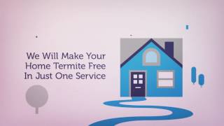 O'Connor Pest & Termite Control in Santa Barbara, CA