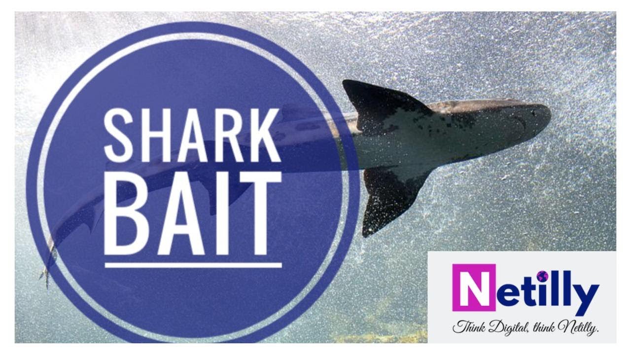 Netilly Story of the Week - Shark Bait