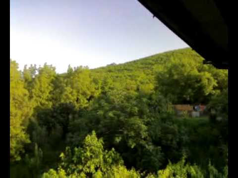 ZXZ ქიზიყი