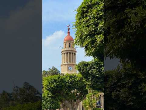 يا قصر يا حتة من قلبي