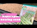 【農家の嫁】アスパラの種まき！種まきのコツや発芽させる為の一工夫！