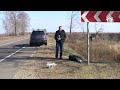 Видео с места ДТП в Амурской области