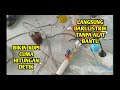 MEREBUS AIR KOPI HANYA DENGAN KABEL LISTRIK