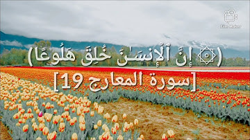 ارح سمعك تلاوة هادئة تريح القلب والعقل💚 سورة المعارج