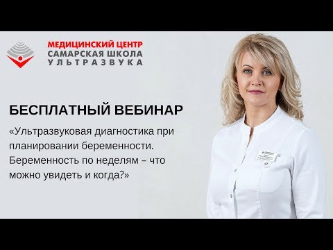 УЗД при планировании беременности. Беременность по неделям – что можно увидеть и когда?