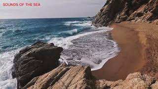 Tranquil Waves: A Sunset Symphony for Relaxation by Sounds of the Sea 88 views 2 days ago 40 minutes