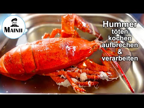 Video: Könnte der Hummer kochen?