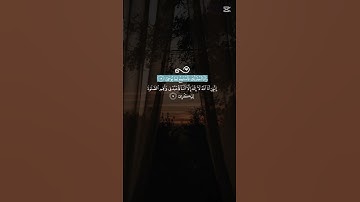 اجمل صوت 🥺🤍 راحة 💫 استماع 🌹 القارئ شريف مصطفى 💗✨ . تلاوة هادئة و مريحة لقلبك 🥺🤍✨.
