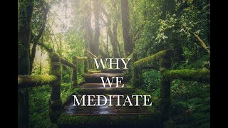 Why We Meditate by Paula Tursi Life Design Online 7 views 4 months ago 24 minutes