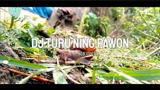 DJ Turu Ning Pawon - Asep kriwil || DJ Tarling Paling enak || FullBass Terbaru 2021