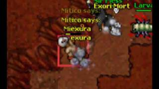 Tibia Pk- Part 3