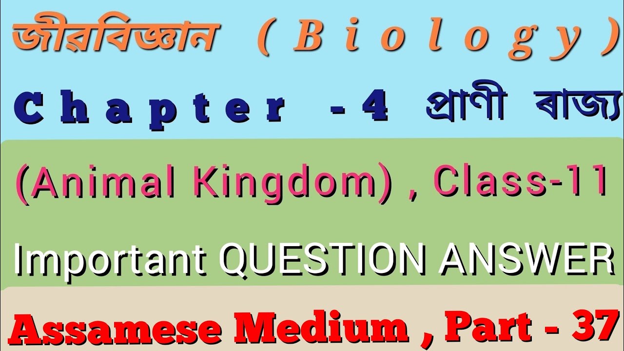 Biology Class 11 Chapter 4 Animal Kingdom lmportant QUESTION ANSWER  Assamese Medium|| প্ৰশ্ন উত্তৰ|| - YouTube