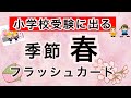 【小学校受験対策】季節 春 フラッシュカード 1