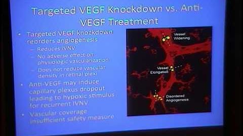 Update of VEGF Neuroprotection in ROP