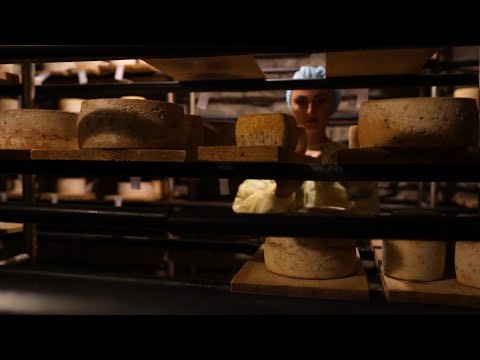 \"ელექსირი\" შვეიცარიული ყველის საწარმოსა და მესაქონლეობის ფერმაში.