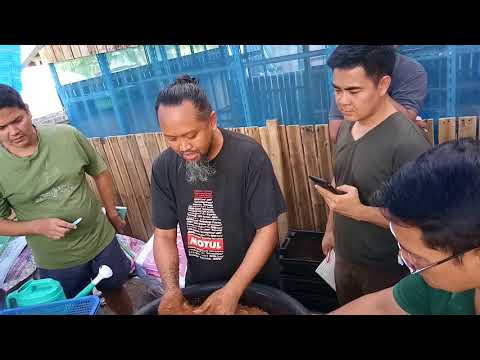 ต้นกล้าฟาร์ม ไส้เดือน” บ้านคุณต้น ลูกศิษย์อาจารย์สมชัย จันทร์สว่าง คลิปที่ 2