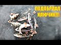 ЭТА ФИШКА СДЕЛАЛА ВСЮ РЫБАЛКУ!!! Первый лед. Зимняя рыбалка 2018