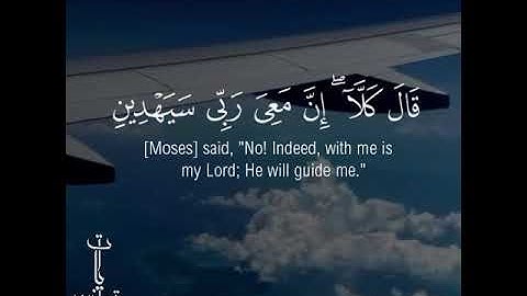 تلاوه خاشعه | فَلَمَا تَرآَءَا الَجَمعَانِ قَالَ اصَحَابُ مُوسَى | بصوت القارئ اسلام صبحي