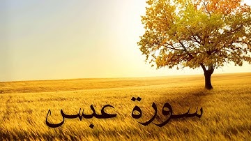 سورة عبس بصوت القارئ هزاع البلوشي