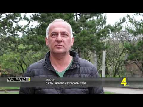 ჰუმანიტარული აქცია თეთრიწყაროს მუნიციპალიტეტში