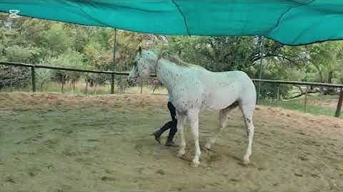 Master Jack with Tahnee 