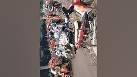 mùa vải là tâc đường quốc lộ 31bắc giang sơn động