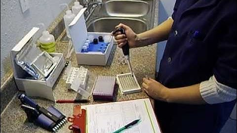 Devils Lake Microcystin Analysis