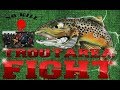 TROUT AREA FIGHT - La nostra prima gara a coppie