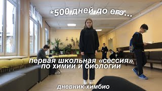 обычные дни русского школьника *много экшена*