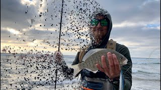 Surf fishing southern california halibut hunting