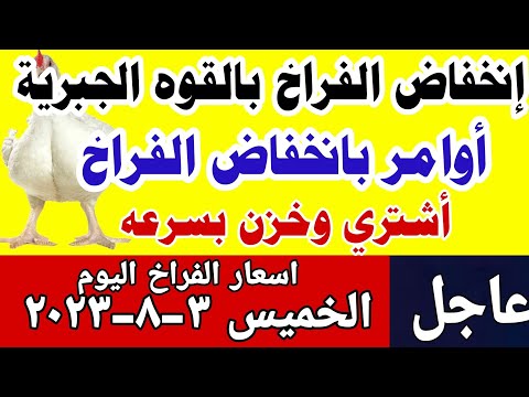 اسعار الفراخ  البيضاء اليوم| سعر الفراخ البيضاء اليوم الخميس 3-8-2023 في مصر